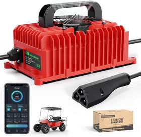 10L0L 48V EZGO charger with triangle plug for TXT and RXV, easy installation.