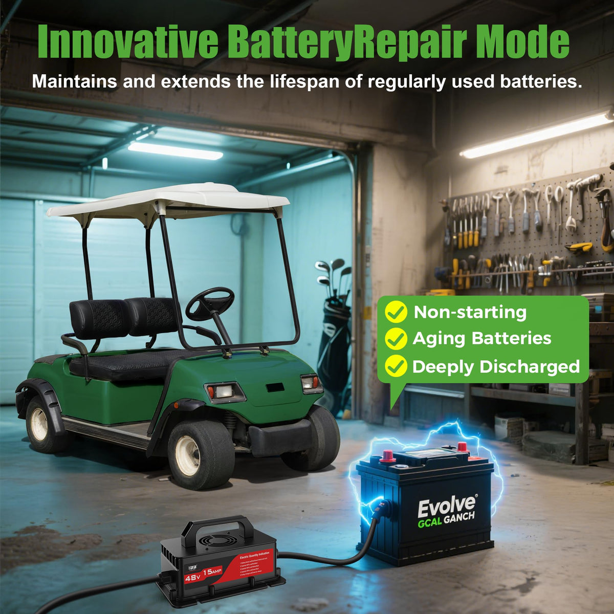 10L0L 48V golf cart charger IP67 image demonstrates weather and dust resistance.