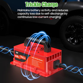 10L0L DS/Precedent compatibility image shows seamless Club Car integration.