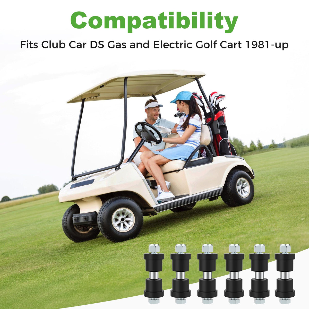 10L0L corrosion-resistant hardware pack secures installation on Club Car DS