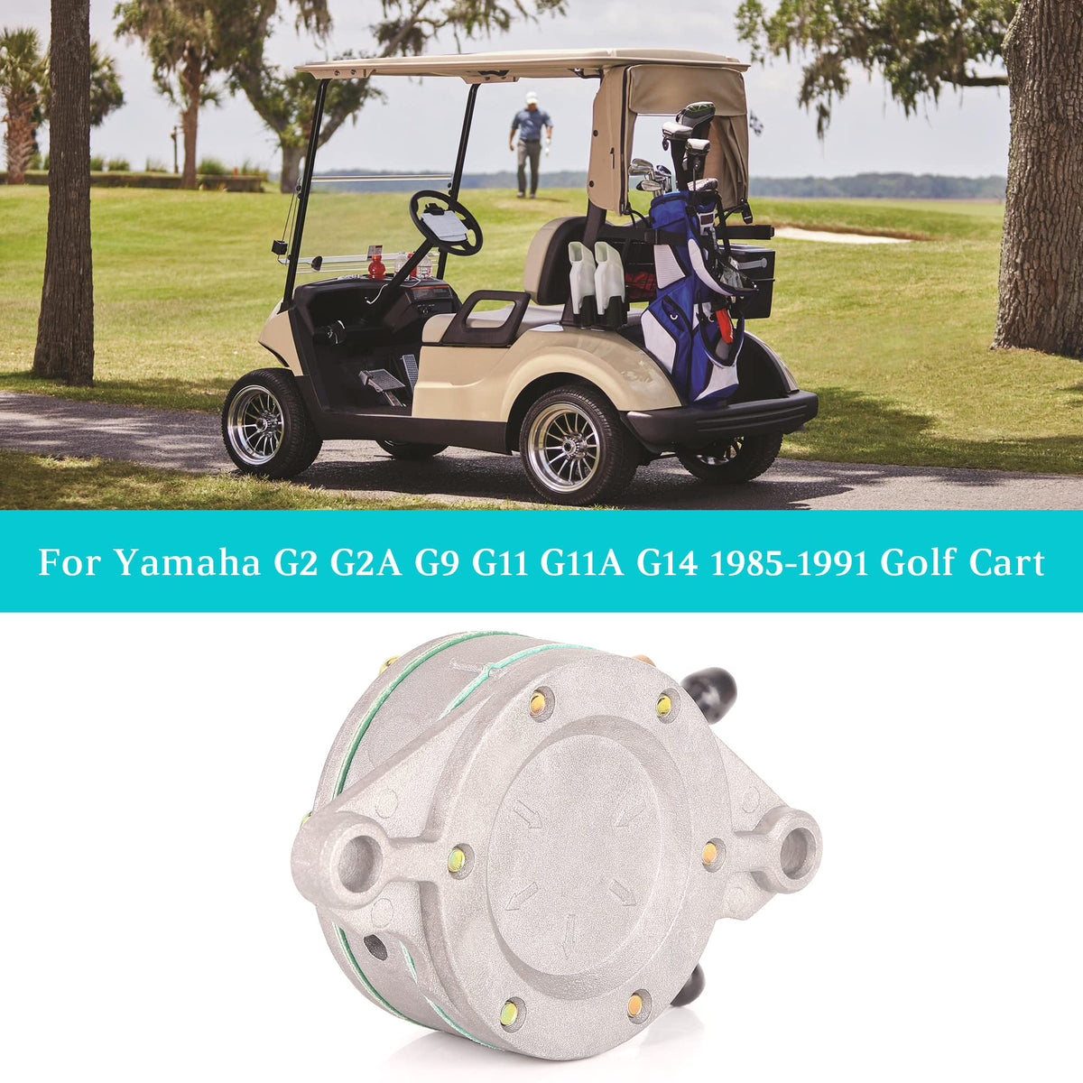 10L0L fuel pump installed in Yamaha G2 engine compartment.