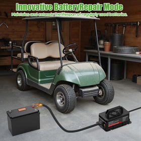10L0L golf cart charger Yamaha G29 connectivity with long cables.