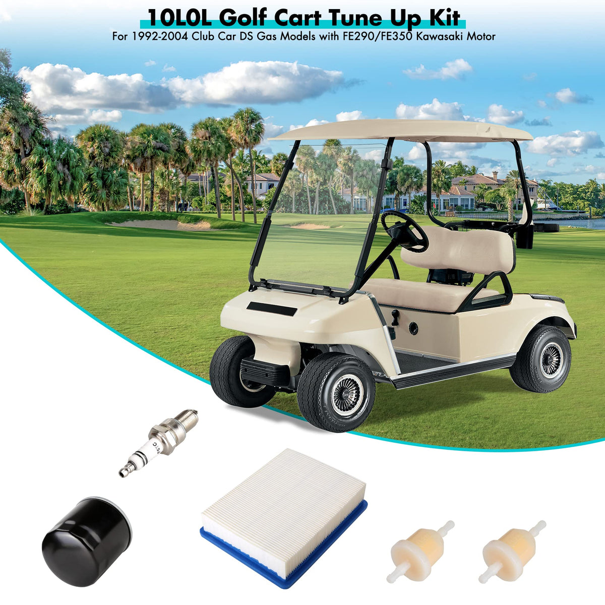 10L0L fuel filter for Golf Cart DS helps maintain fuel flow (1st unit)