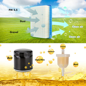 10L0L fuel filter for Golf Cart DS helps maintain fuel flow (2nd unit)