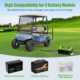 10L0L lead-acid lithium maintenance batteries charging scene demonstrates flexibility.