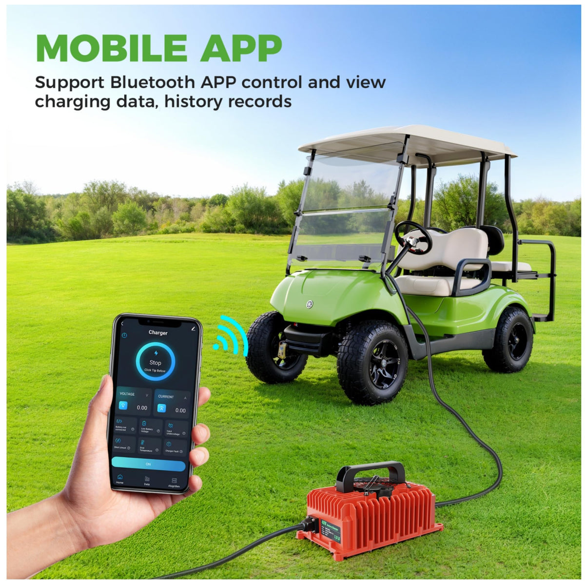 10L0L charger supports lead-acid, maintenance-free, and LiFePO4 batteries for versatility.
