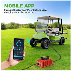 10L0L charger supports lead-acid, maintenance-free, and LiFePO4 batteries for versatility.