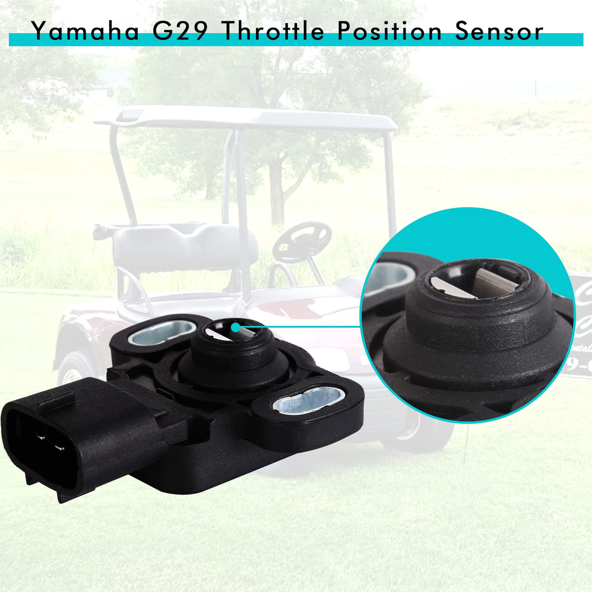 One-year after-sales support with 10L0L throttle sensor