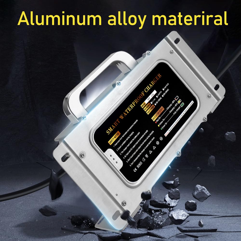 Abakoo 36V output display demonstrates precise 15-amp charging