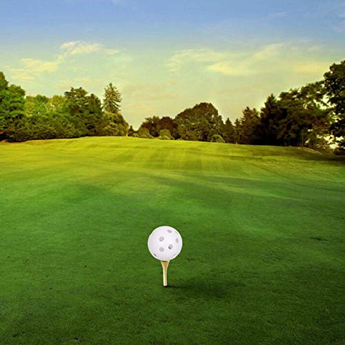 Adwikoso two tees included for ready-to-practice setups.