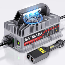 Akizbeir 18A charger with D style plug for EZGO TXT