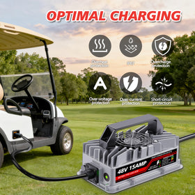 Akizbeir 3-pin triangular plug ensures EZGO RXV/TXT compatibility
