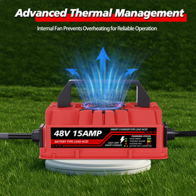 Akizbeir self-test indicators guide checks when power is applied without a battery.