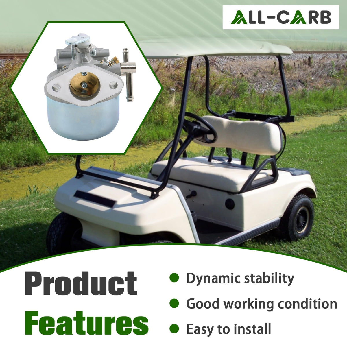 ALL-CARB DS compatibility note emphasizing model match and engine fit.