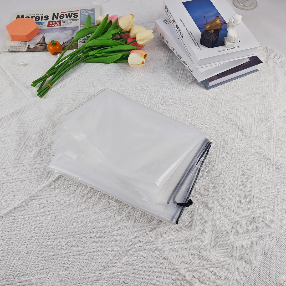 Aogigigio reusable clear bag keeps clothes and pillows protected.