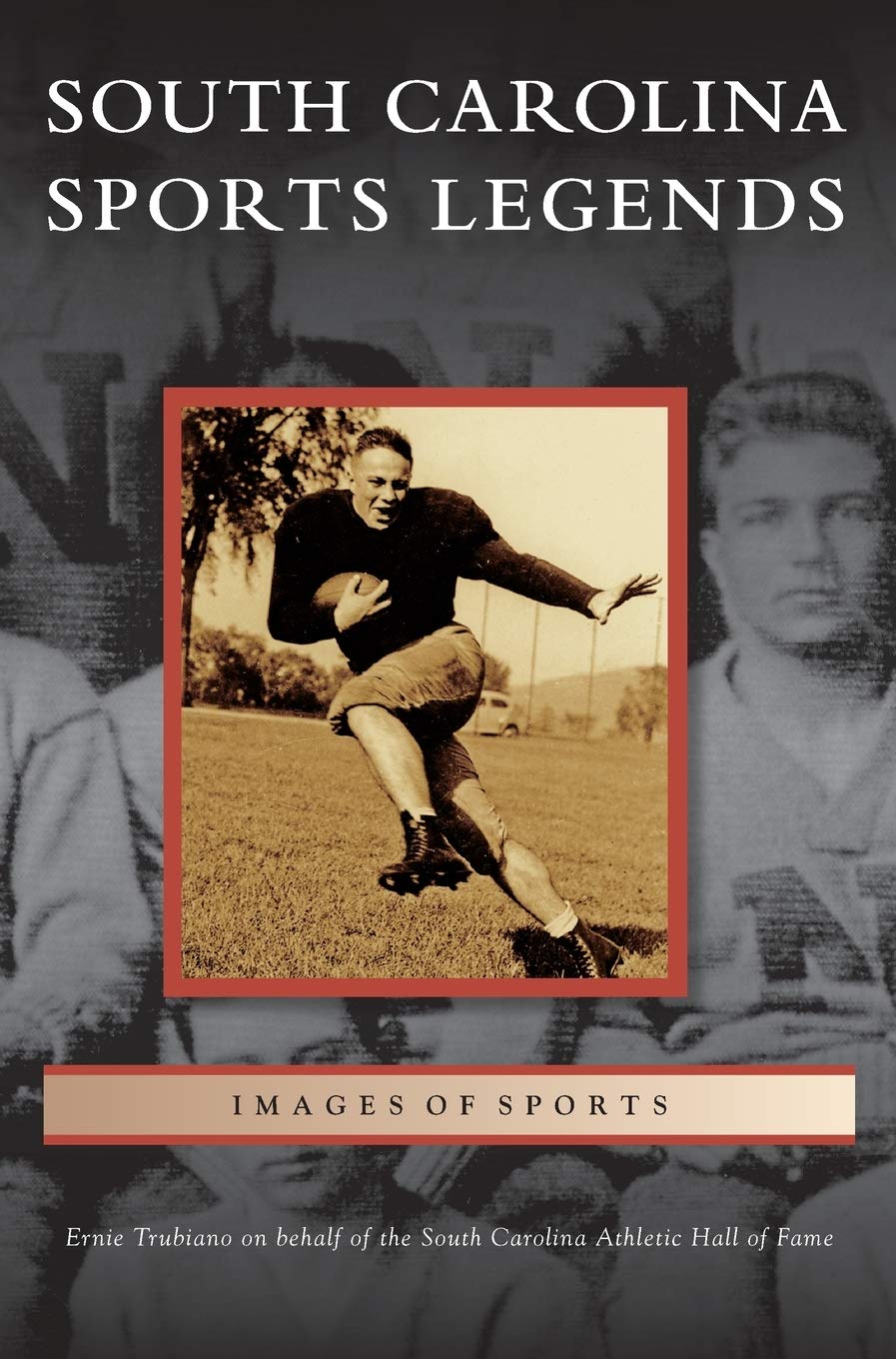 Arcadia South Carolina Sports Legends banner highlighting Hall of Fame icons, ideal for collector displays