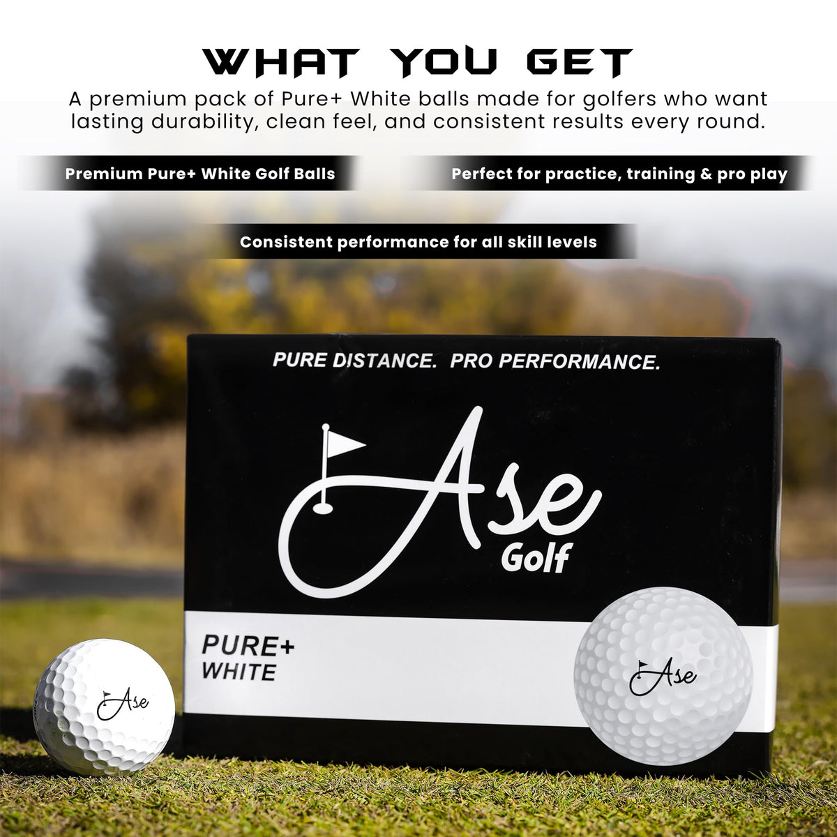 Ase Golf Pure+ ball dimple detail shows urethane cover for spin