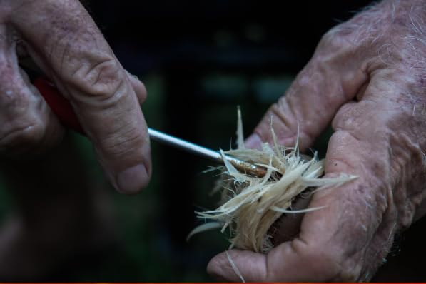 AUTHENTIC FEATHERY GOLF BALL Co Lion Jumbo feather-inside ball showcases preserved feathers inside resin.