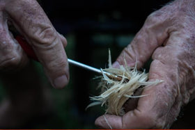 AUTHENTIC FEATHERY GOLF BALL Co Lion Jumbo feather-inside ball showcases preserved feathers inside resin.