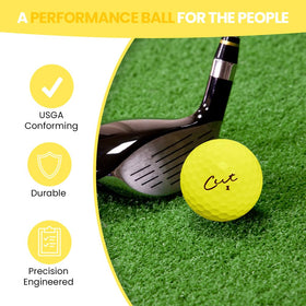 Birdie Town Jupiter Cut distance-flight focus illustrates potential for balanced ball flight