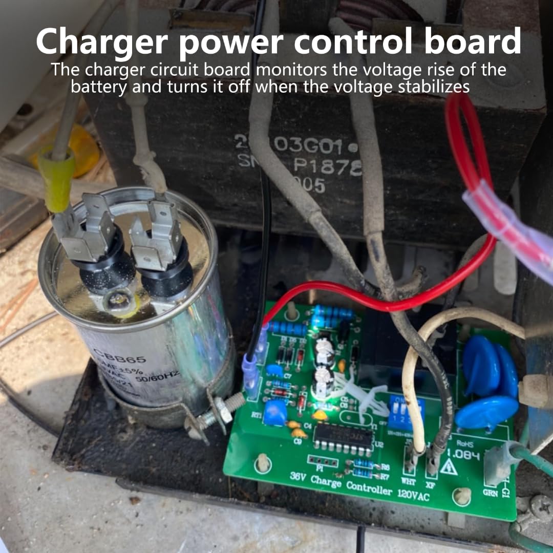 BLUE ELF TE 30A relay with silver contacts supports stable charging