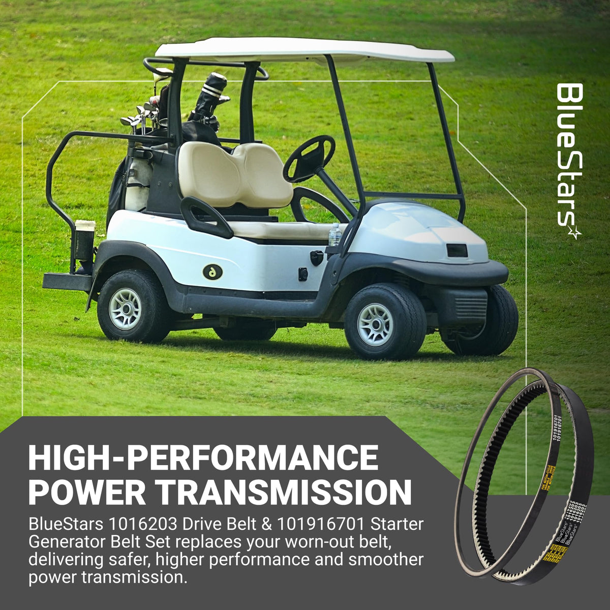 BlueStars Starter Generator Belt 101916701: reliable starter engagement for Precedent carts.