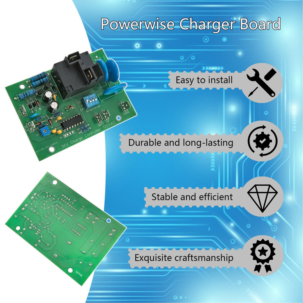 Bydorunce Powerwise charger board wiring connections ready for setup