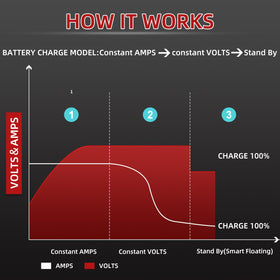 CAPTOK Yamaha G29 Drive charger back connection for secure setup