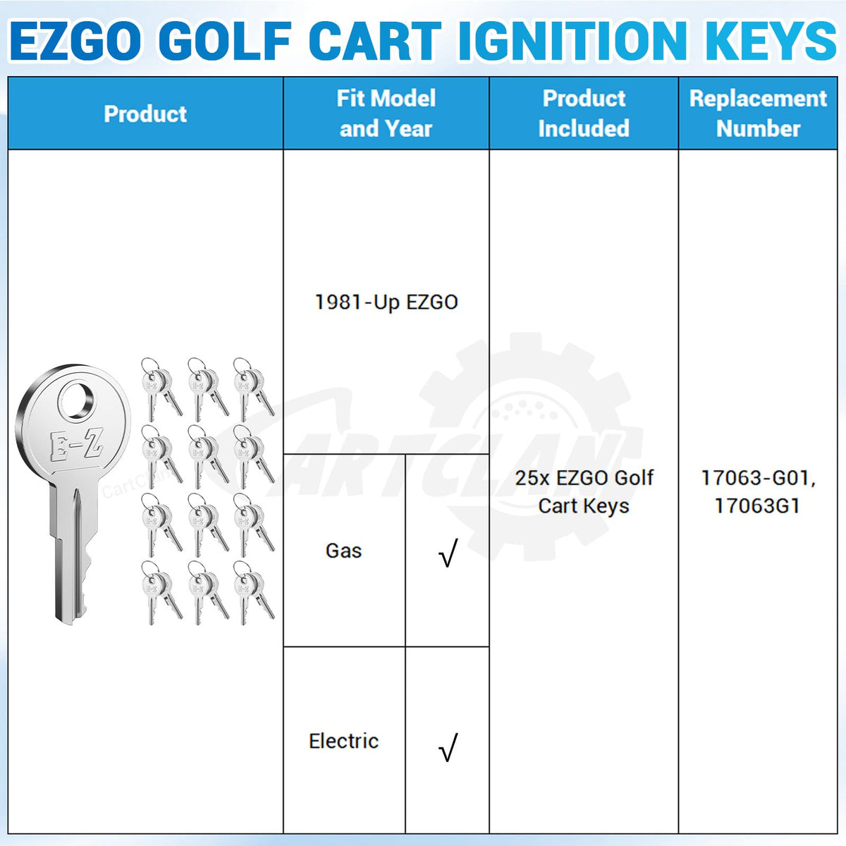 CartClan 17063G1 replacement keys in use on a golf cart.