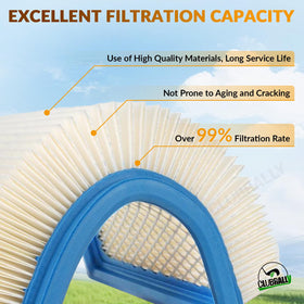 CLUBRALLY oil filter for Club Car DS FE290 keeps oil clean