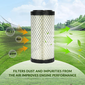 CLUBRALLY oil filter for EZGO RXV keeps oil passages clear