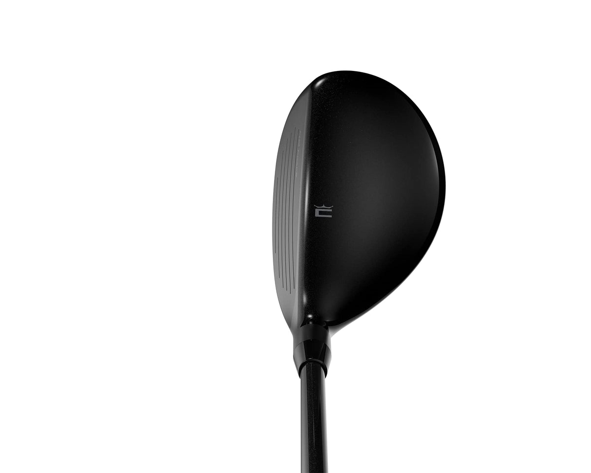 COBRA Aerojet Hybrid in swing supports versatile long-approach performance
