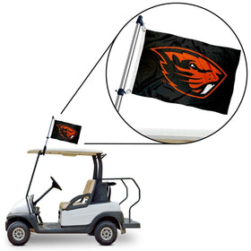 College Flags & Banners Co. officially licensed flag for authentic display.