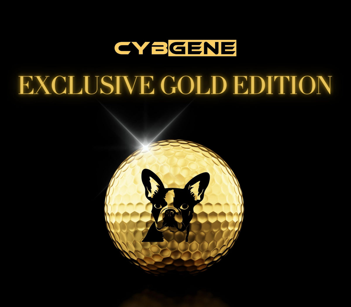 CybGene Boston Terrier gift box ready for celebration and gifting.
