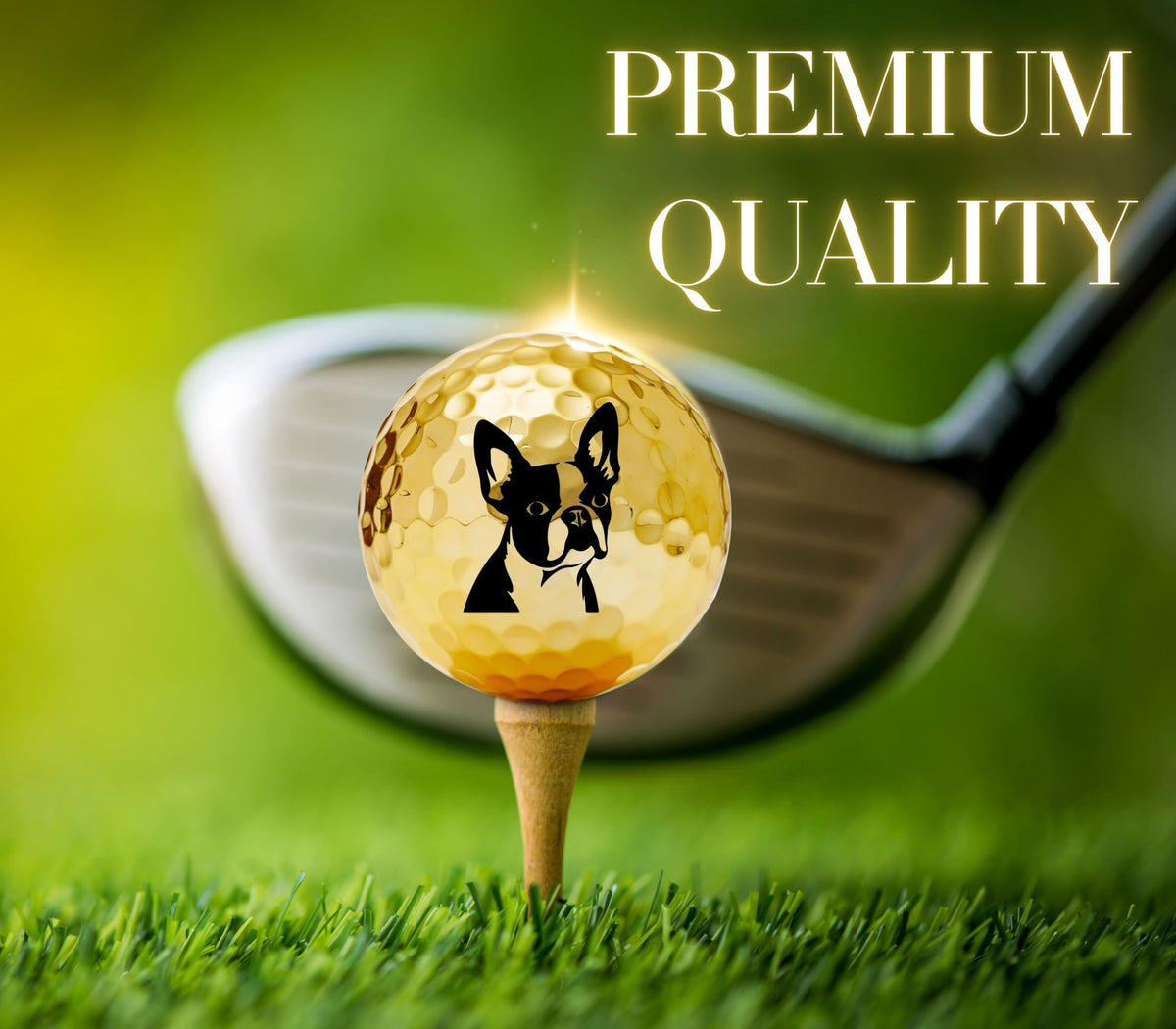 CybGene ball features the Boston Terrier logo for premium look.