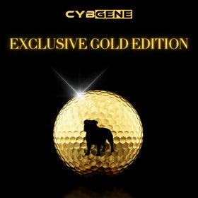 Bulldog-themed golf gift pack from CybGene for golf lovers