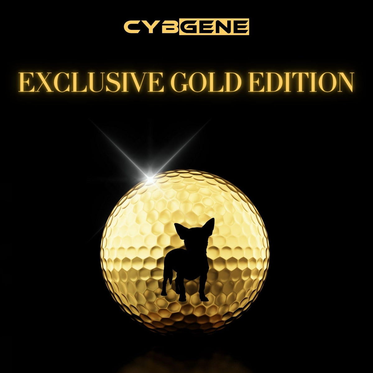CybGene Chihuahua dog gift golf set ideal for gifting occasions