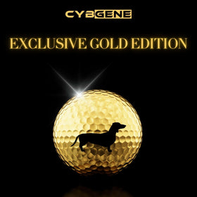 CybGene dachshund gift set packaging ready for gifting to golf enthusiasts.