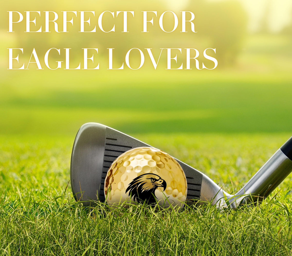 Graphic designs on CybGene eagle golf balls for a distinctive look.