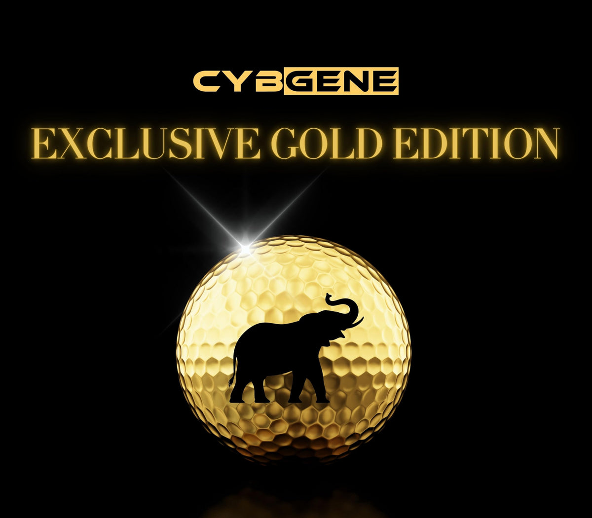 CybGene elephant premium-quality golf balls offering consistent feel