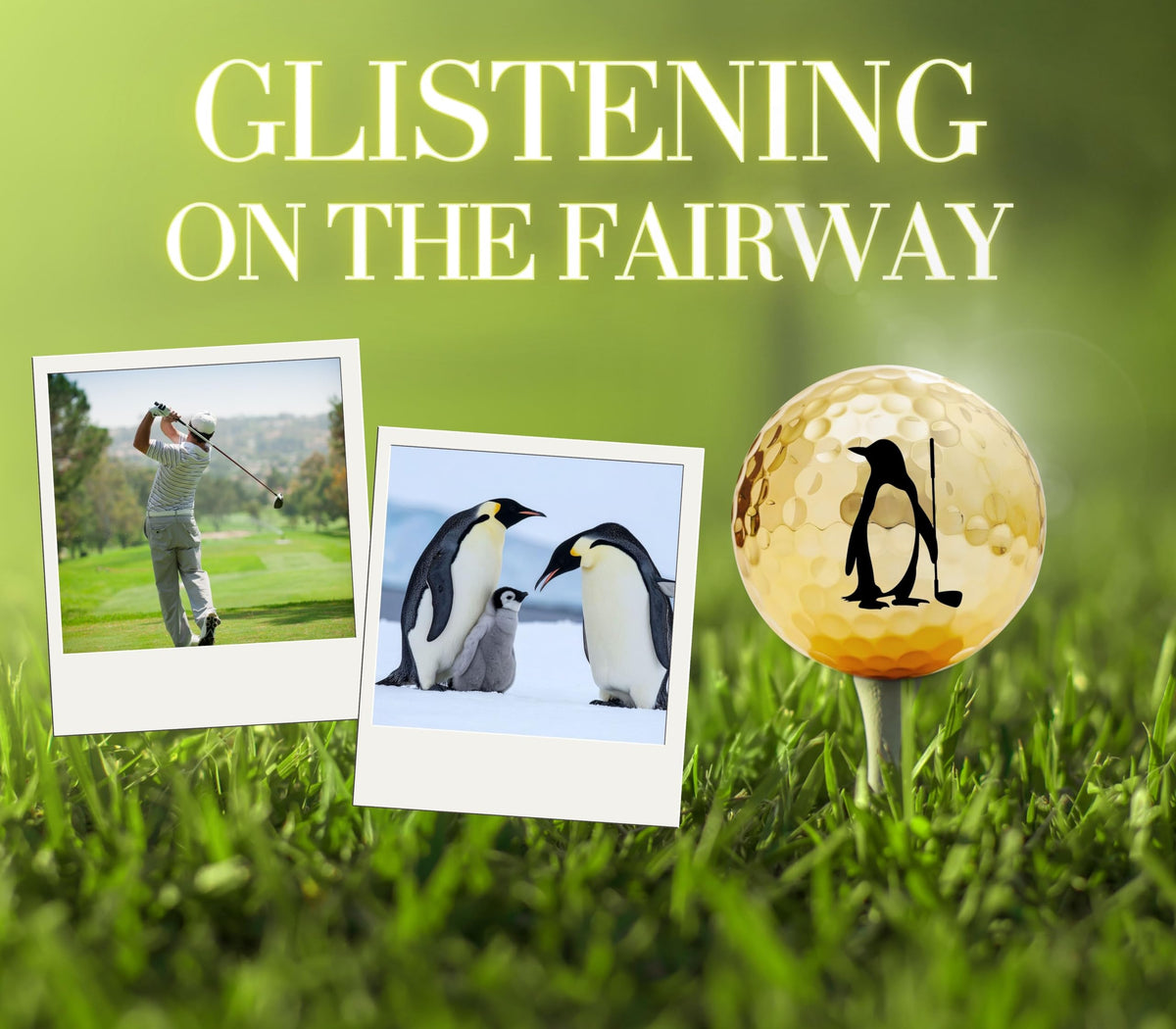 CybGene funny penguin golf gift set, ideal for birthdays and holidays.