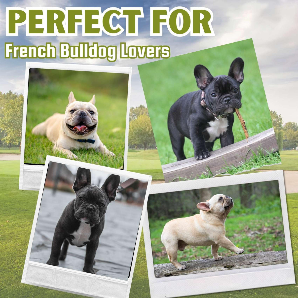 CybGene gift-ready French Bulldog golf balls for holidays and birthdays