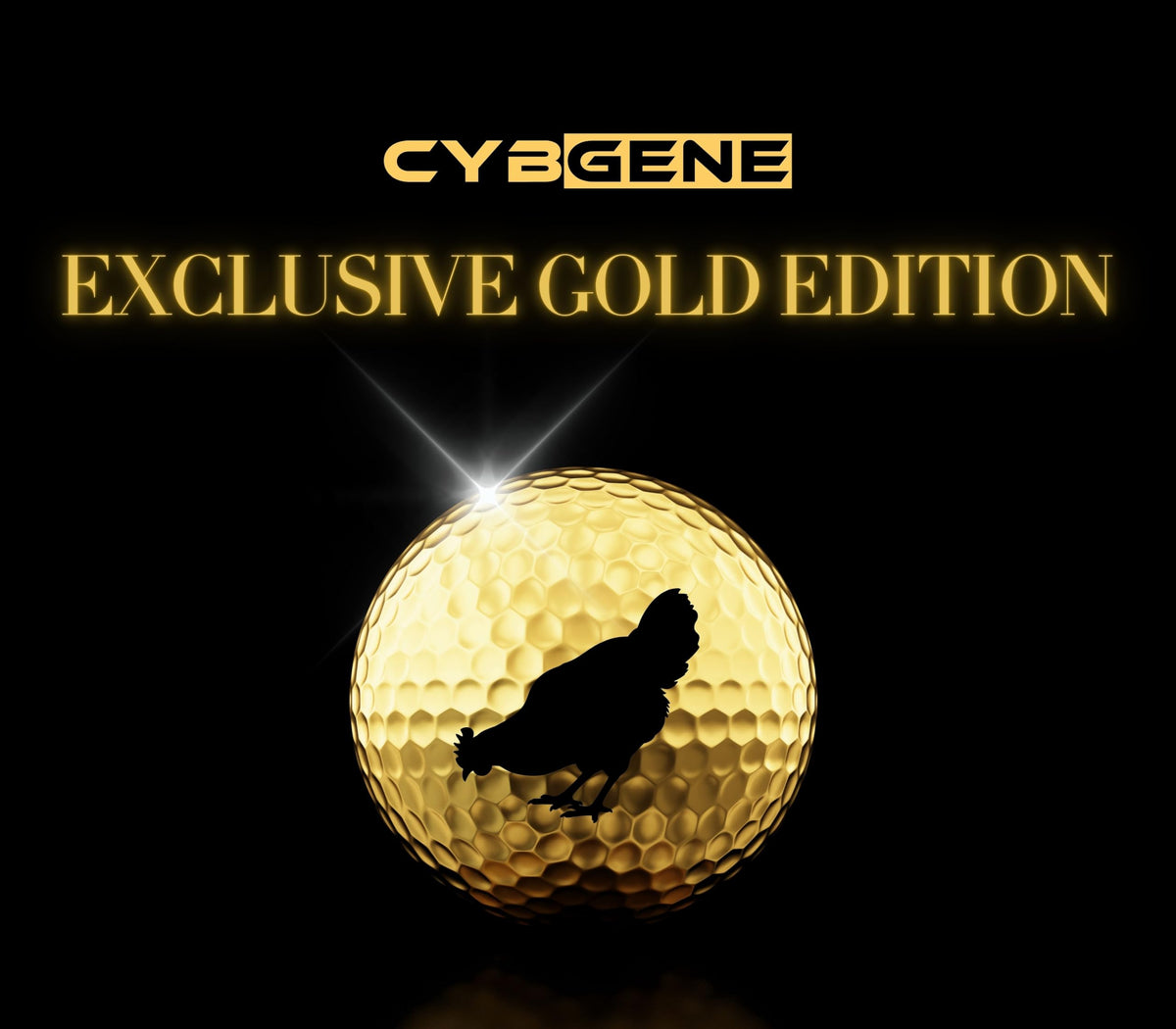 Premium packaging shows contents clearly—great for gifting and presentation.