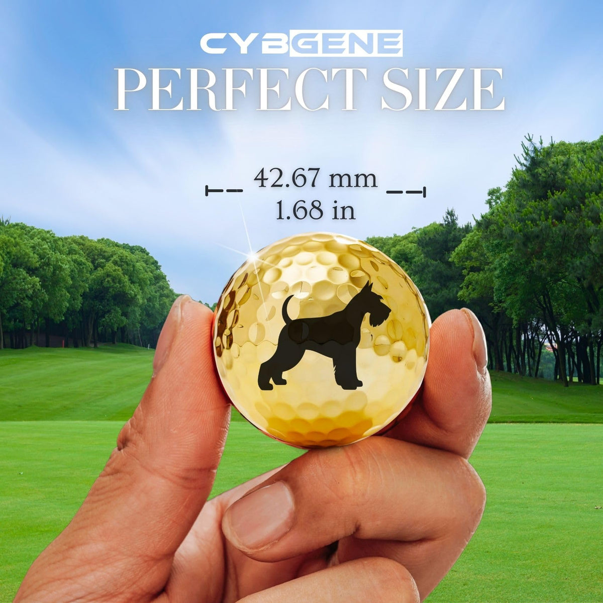 CybGene Schnauzer golf ball set design-c vibrant pattern aids alignment.