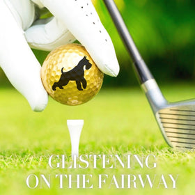CybGene Schnauzer golf ball set design-d durable two-layer construction.