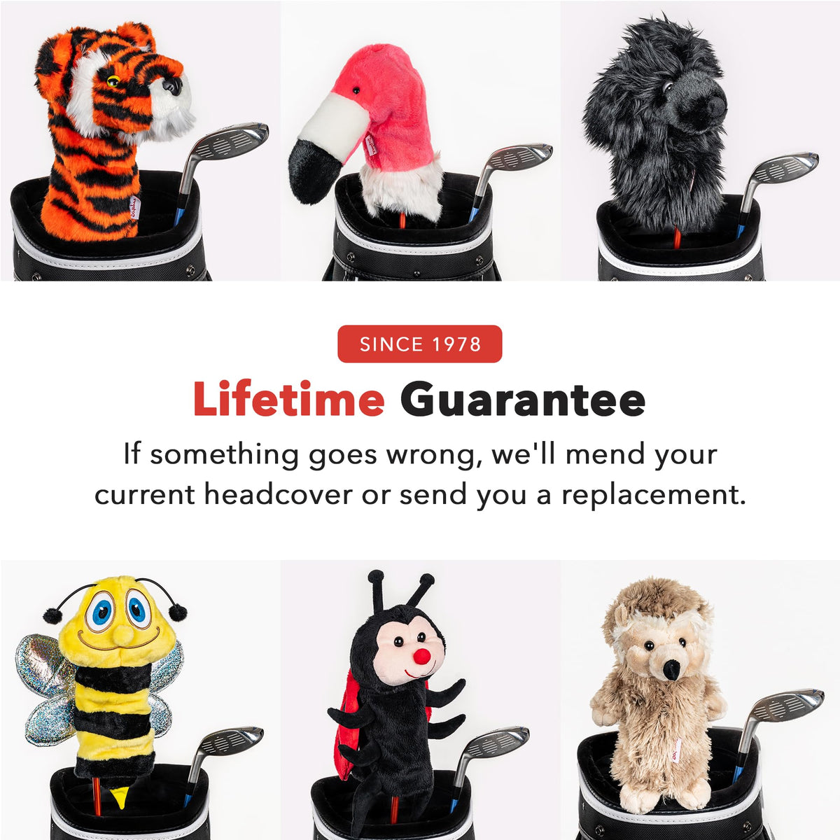 Lifetime guarantee badge signals Daphne's commitment to long-lasting protection.