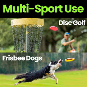 Disc Raptor color options help players match gear