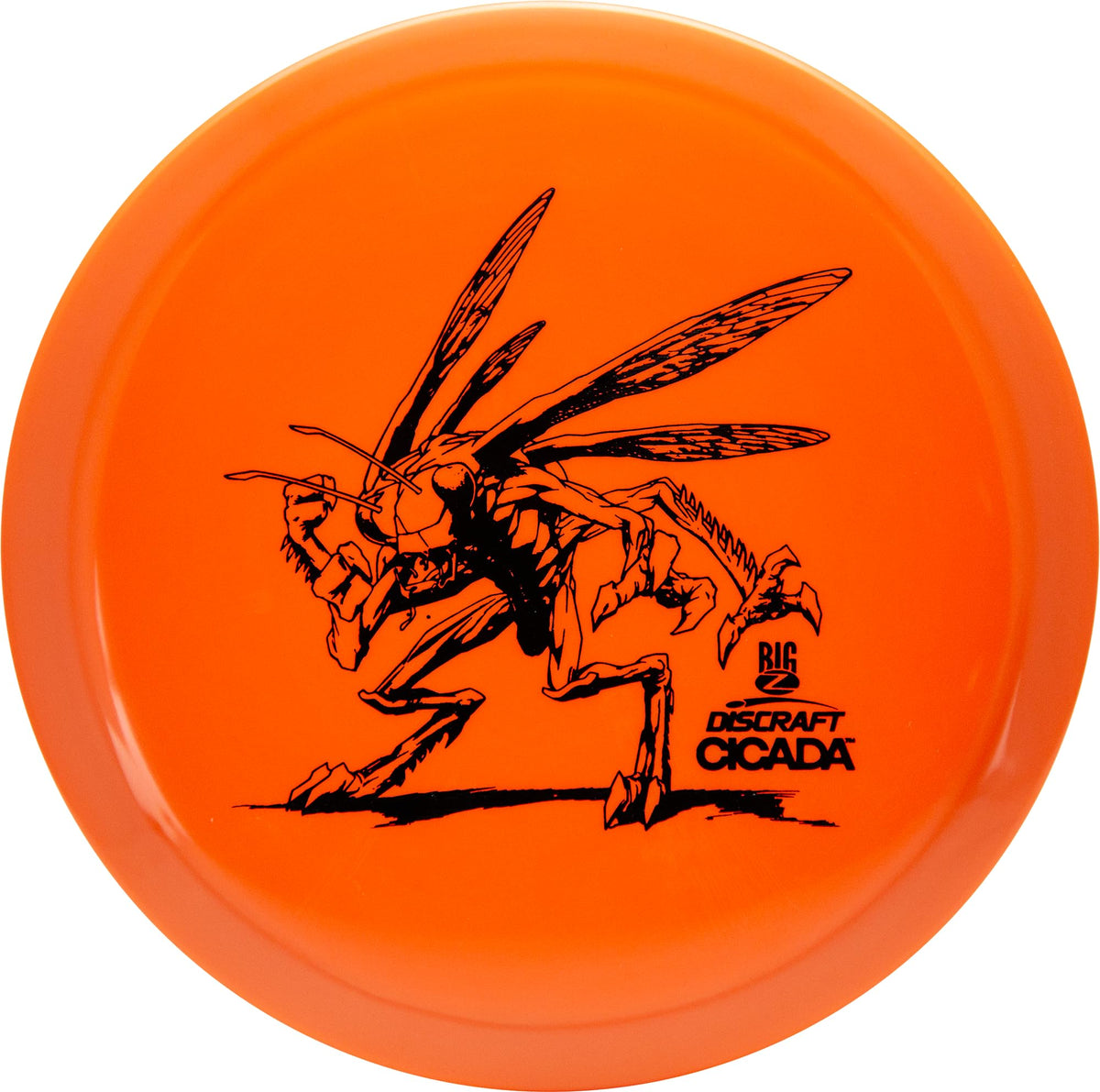 Discraft Big Z Cicada front view shows durable design for all weather play