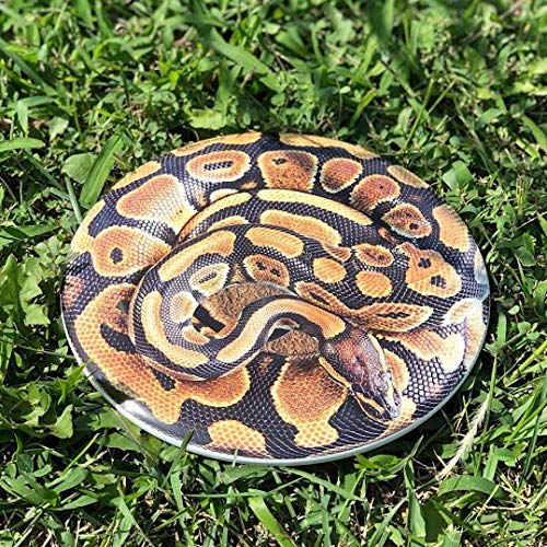 Discraft ESP Buzzz Supercolor pizza design showcasing stylish midrange control