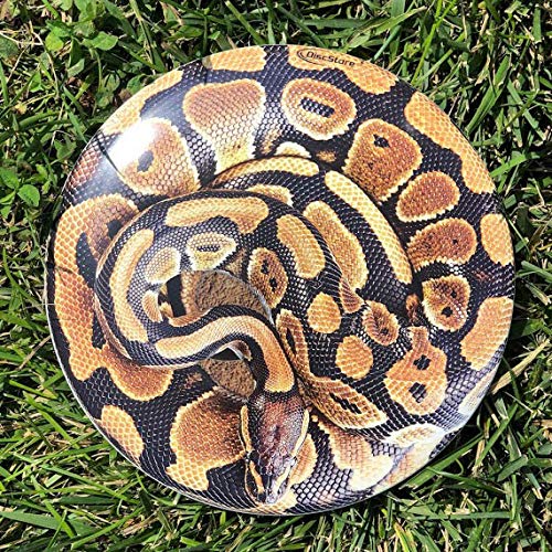 Discraft ESP Buzzz Supercolor side view highlighting sleek profile for straight throws